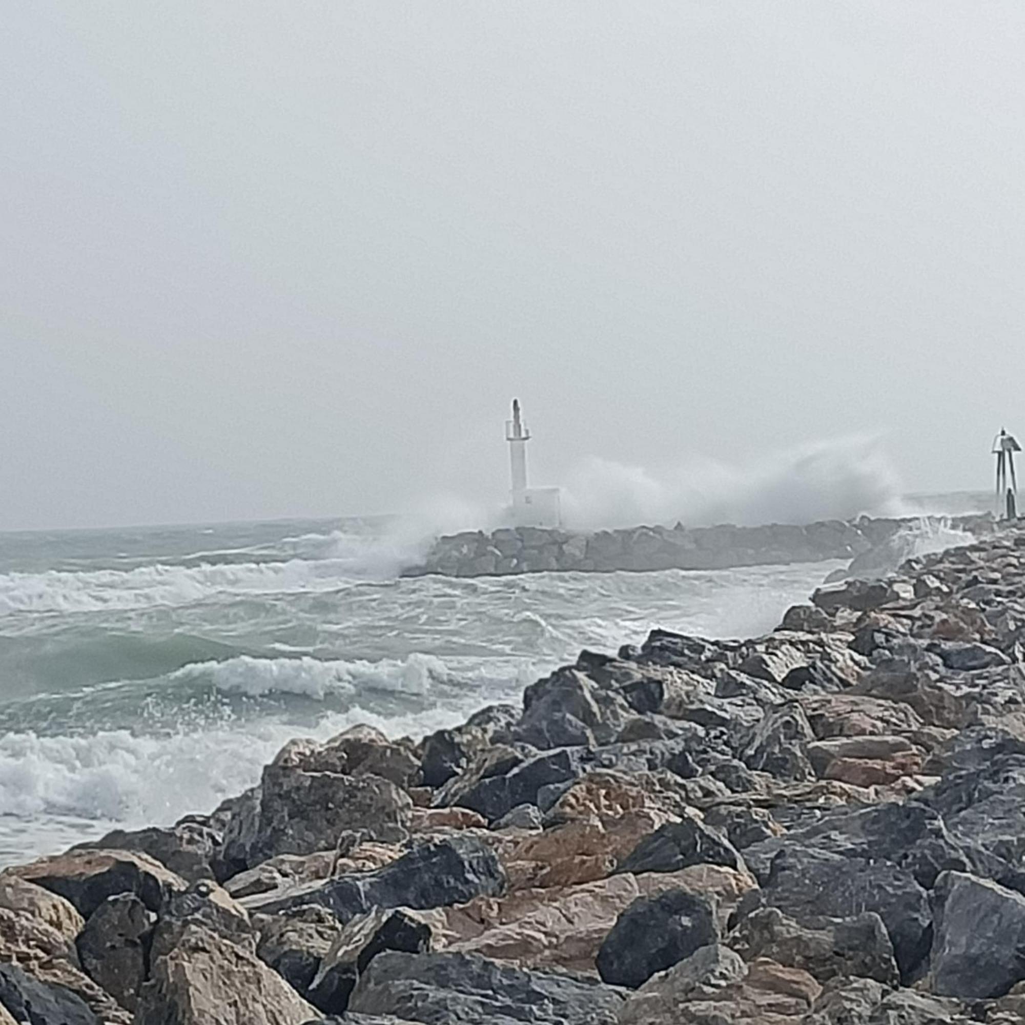 Studio Les Pieds Dans L'Eau App N°7 Le Barcarès Exteriér fotografie